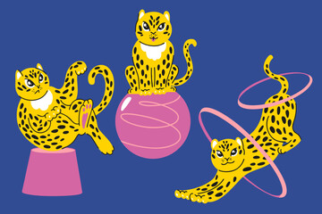 Circus leopard set with gymnastic rings, stands, balls, yellow wild cats on blue and pink