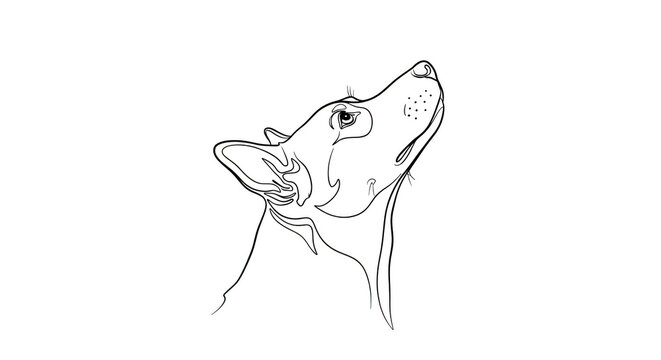 White outline of a dog head howling on black background