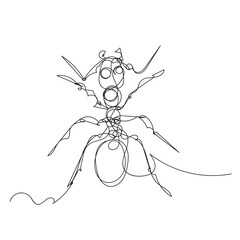 continuous line art drawing of ant animal