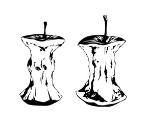 Illustration of two monochrome apple cores in a sketch or engraving style, isolated. Design illustration on the topic of food waste, healthy eating, and organic products.