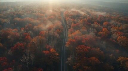 A high-altitude drone shot capturing a narrow forest road cutting through a vast canopy of fiery red and burnt-orange autumn foliage, soft sunlight filtering through the treetops.