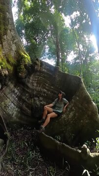 mulher sentada em tronco de suma&uacute;ma apelidada de Muralha, na cidade de Afu&aacute;, Par&aacute;, na amazonia brasileira 