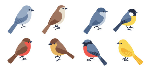 colorful flat style birds collection diverse bird