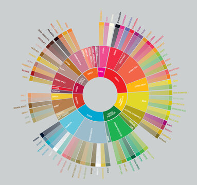 A colorful and detailed SCA Coffee Taster&rsquo;s Flavor Wheel chart showing the full spectrum of coffee aromas and tasting notes. Perfect for barista training, coffee education, and specialty coffee refere