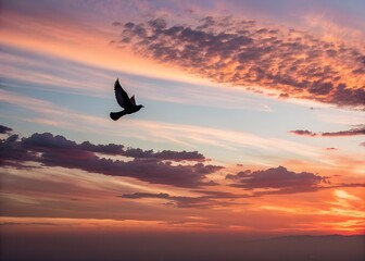 Fototapeta premium sunset in the sky