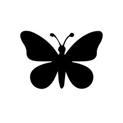 butterfly vector illustration