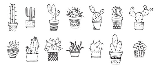 Cacti and succulents doodles illustration. Home plants in pots and cups.