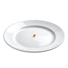A tiny golden garnish rests alone on a large white dinner plate against a black background.