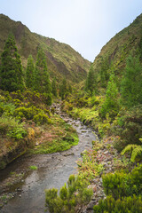 Mountain Stream Flowing Between Lush Green Slopes and Tall Hills on S&atilde;o Miguel Island, Azores