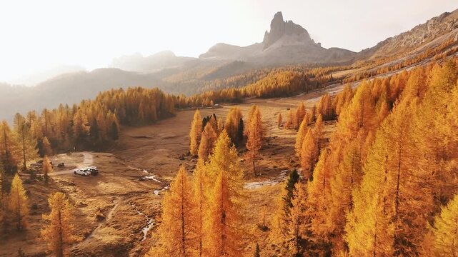 Picturesque yellow larches orange colored. Croda da Lago mountain at background, majestic landscape at autumn time.