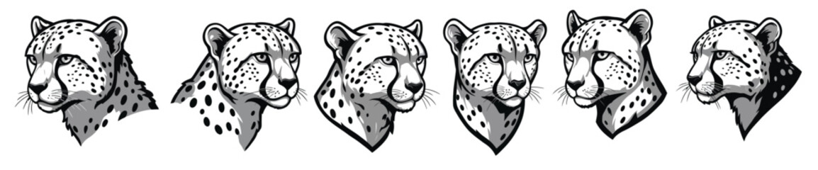 cheetah head illustrations showing various angles © Colna