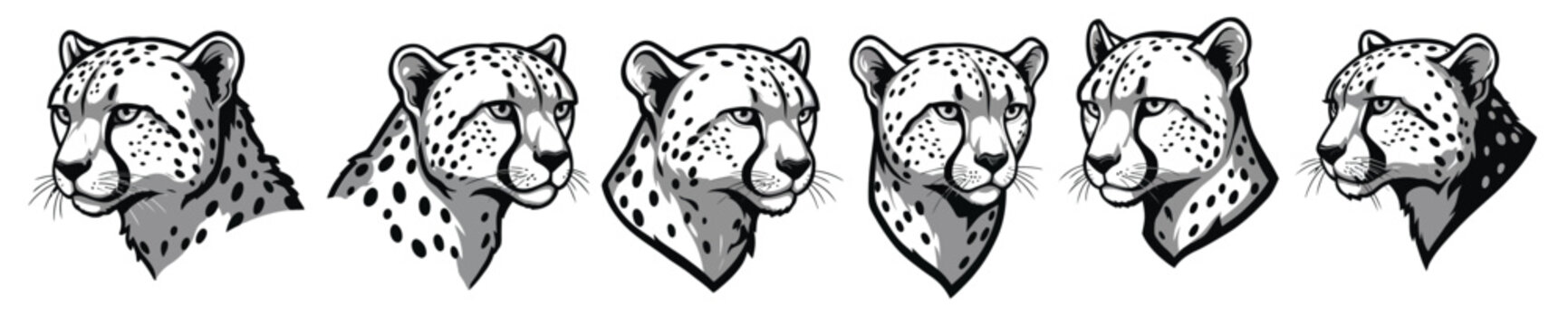 cheetah head illustrations showing various angles