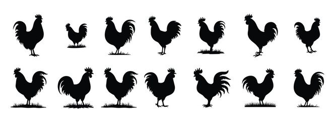 Collection of black rooster silhouettes on white background vector © Qaader