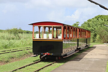 Obraz premium balade dans les champs de cannes à sucre