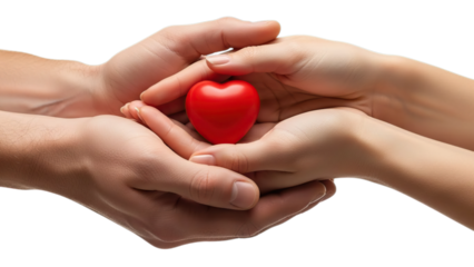 Hands cupping a small red heart, symbolizing love and care Isolated on a transparent background.