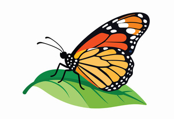 Vivid butterfly with orange and black wings rests on a green leaf