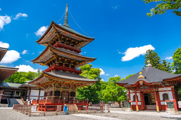 千葉県成田市 成田山新勝寺 三重塔と一切経堂