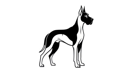 Elegant black and white dog illustration standing proudly on white background