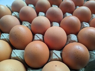 Brown Eggs in Carton Close-up: Fresh Farm Produce