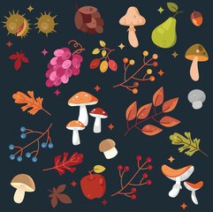 Seamless pattern on dark background, with vibrant, simplified illustrations of Penny Bun, Puffball and Fly agaric mushrooms, along with red apple, pear, grapes, chestnuts, acorns, and berries.