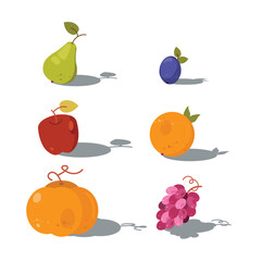 Colorful, flat vector illustration of autumn fruits – green pear, purple plum, crimson apple, red grape, ginger pumpkin, and an orange
