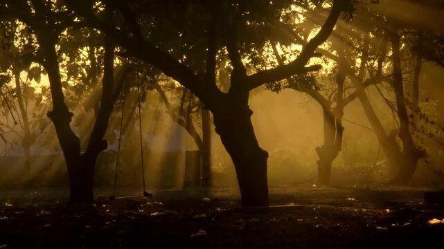 Dark tree trunks frame the image, their branches forming a natural arch around a simple rope swing that hangs motionless in the center.The overall atmosphere feels dreamlike and cinematic.