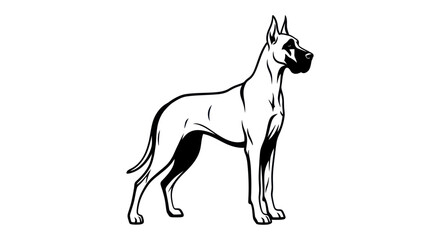 Elegant great dane dog silhouette illustration isolated on white