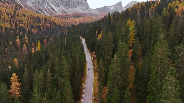 Road in Italy, aerial top view of beautiful nature with bunch of green and yellow trees.