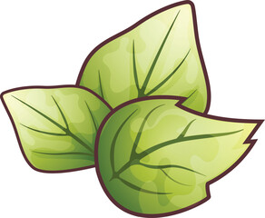 Stylized vector illustration of three fresh green mint leaves isolated on a white background