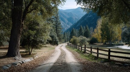 A dirt road leading to the entrance of an old ranch, surrounded by trees and mountains in a California forest with a wooden fence.
