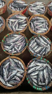 Fresh Skipjack Tuna in Woven Baskets at Traditional Fish Market