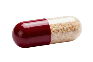 Close-up view of a pharmaceutical capsule with granules inside