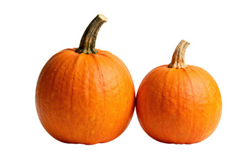 Two orange pumpkins with stems displayed against a white background