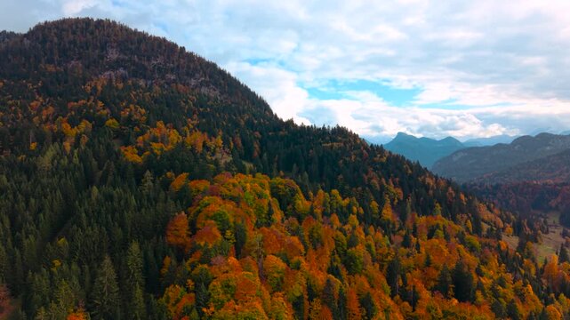 Vibrant colorful autumn forest tree foliage in the Heutal mountain region. Austria drone aerial.