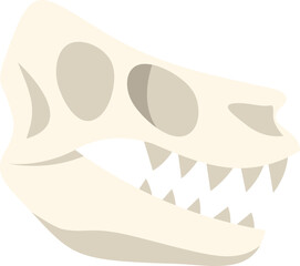 Side view of carnivorous dinosaur skull isolated on white background © anatolir