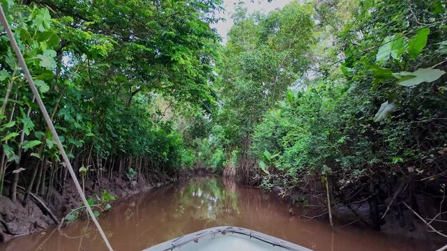 Boat trip on the Igarape do Urubu River, Delta das Americas, Ilha das Canarias, Brazil. Amazon Rainforest. South America