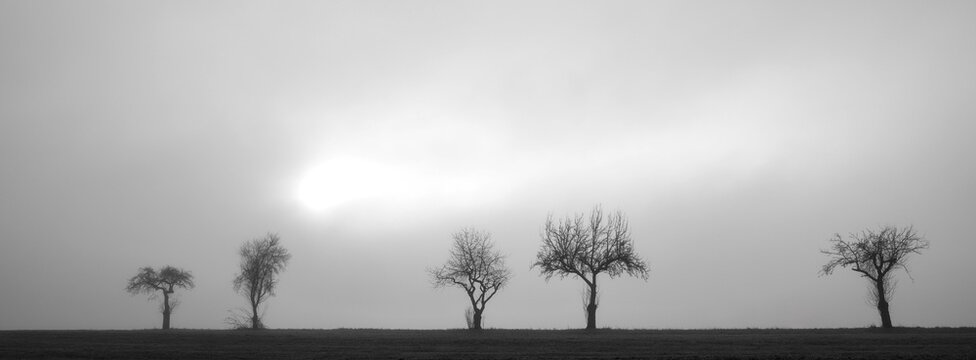 Winter, Herbst, morgens, Nebel, kalt, Wetter, schlechte Sicht, 