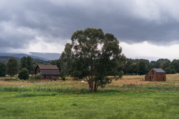 Modern wooden houses in a serene countryside landscape under cloudy skies