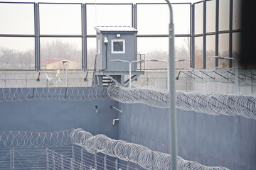 Barbed wire. A metal fence in a juvenile colony.