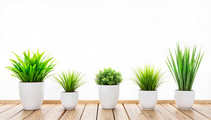 Obraz premium Green plants in white pots arranged on wooden surface 