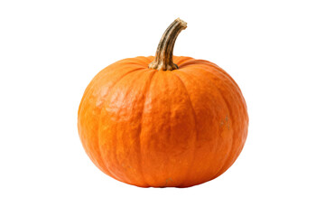 Orange pumpkin with stem in close-up view