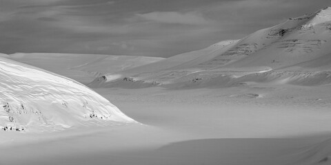 White Polar Lanscape