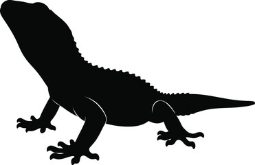 Lizard Silhouette Reptile Vector Illustration