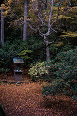 京都府大原三千院秋の結界