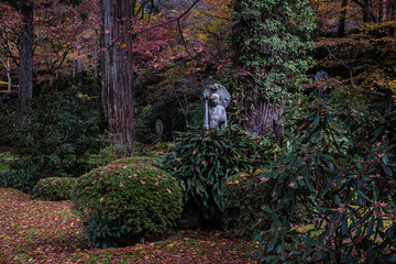 京都府大原三千院仏像秋のほとりにひとり立つ