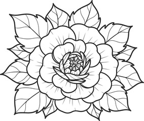 Rose Flower Line Art Botanical Vector