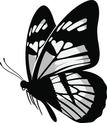 Butterfly Silhouette Nature Vector Illustration