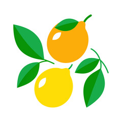 lemon with leaves