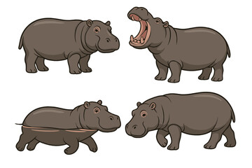 Four hippopotamus characters standing, walking, and roaring poses set