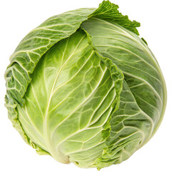 Fresh vibrant green whole cabbage isolated on white background